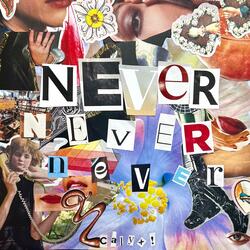 nevernevernever