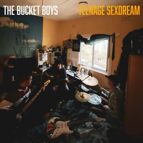 Teenage Sexdream