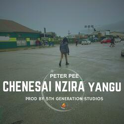 Chenesai Nzira Yangu