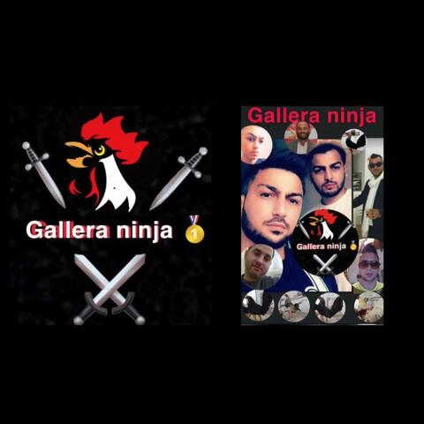gallera