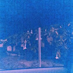 ototo (cryingintheclub edit) (Daniel's Friend Remix)