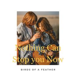 Nothing Can Stop You Now