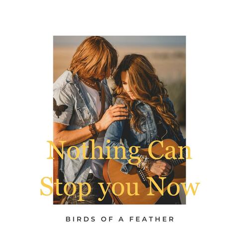 Nothing Can Stop You Now
