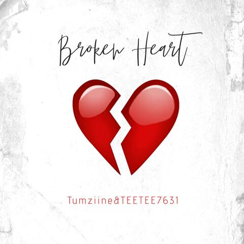Broken Heart (feat. Teetee7631)