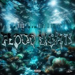 FLOOD LIGHTS (feat. PANDHA & D3LAY)