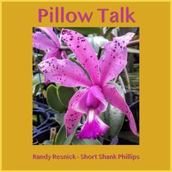 Pillow Talk (feat. Short Shank Phillips)