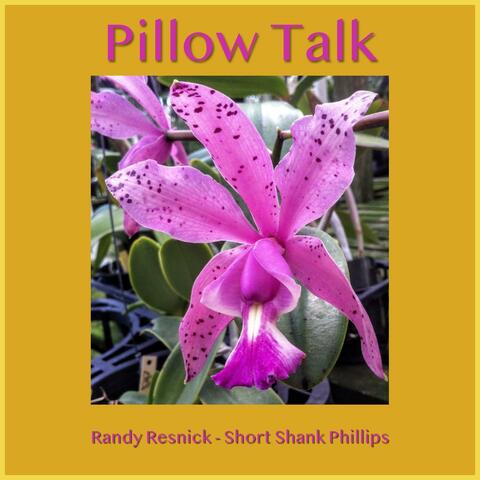 Pillow Talk (feat. Short Shank Phillips)