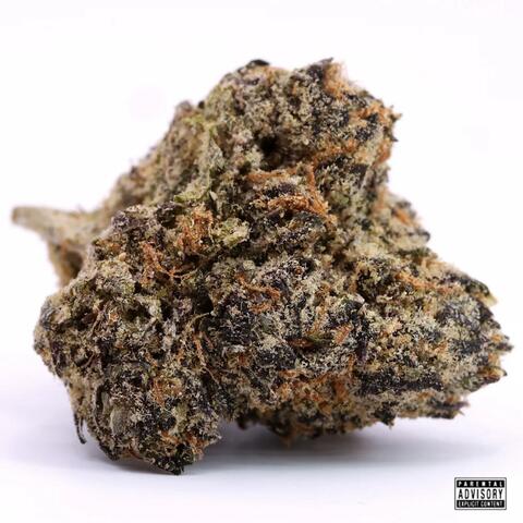 TRUFFLE SUNDAE