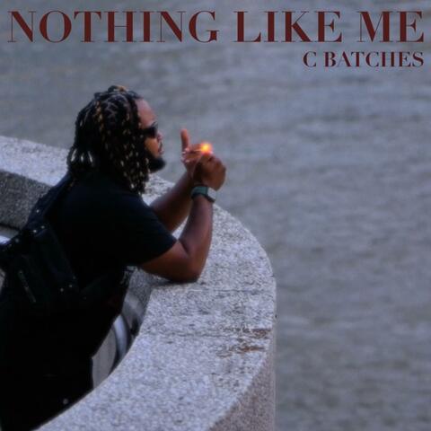 Nothing like Me