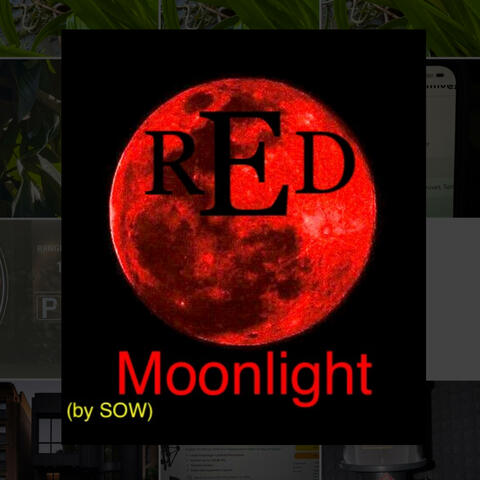 Red Moonlight