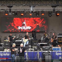 CATELUS CU PARUL ROSU (Amor Galactic)