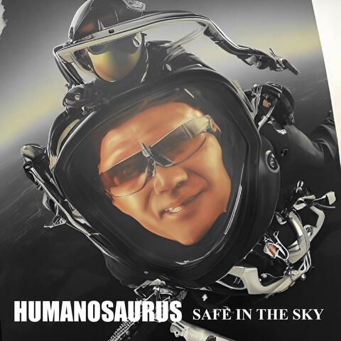 Safe In The Sky