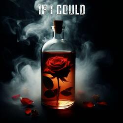 IF I COULD (feat. Banzetti & Kara Marchand)