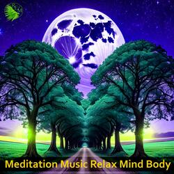 Remove Negative Thoughts, Meditation & Healing Music Relax Mind Body