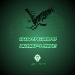 Obrigado Campione - شكرًا يا بطل