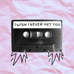 I Wish I Never Met You