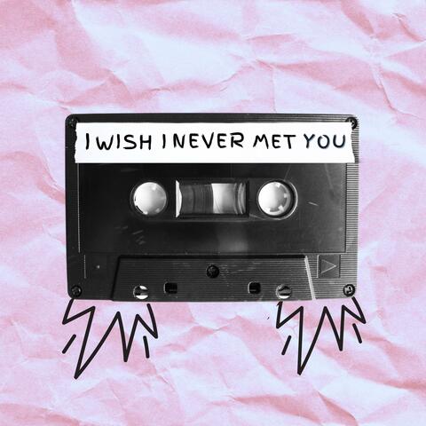 I Wish I Never Met You