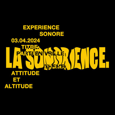 PARTI EN VRILLE