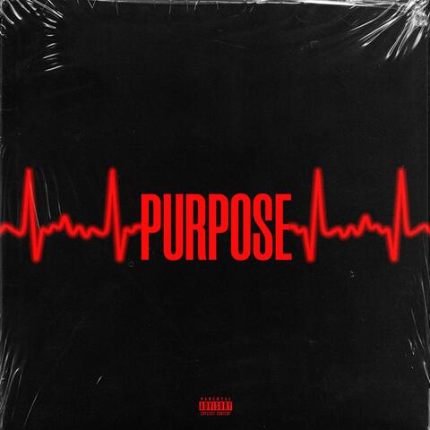 Purpose