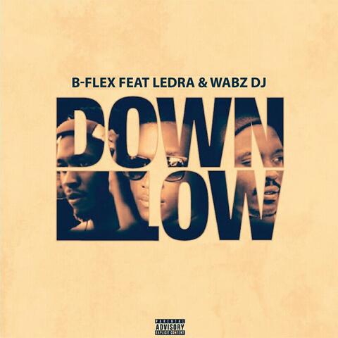 Down Low (feat. Ledra & Wabz Dj)