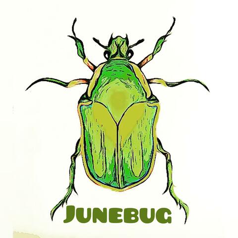 June Bug