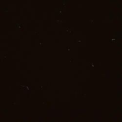 Windreaper (feat. Jiggymoi)