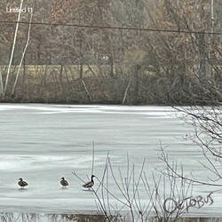 Like a Cool Waiting Room