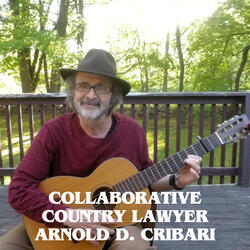 Collaborative Country Lawyer