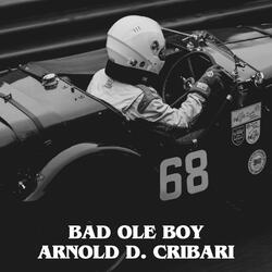 Bad Ole Boy