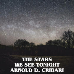The Stars We See Tonight