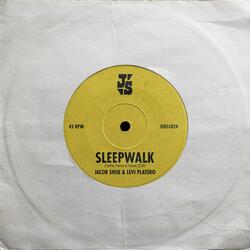Sleepwalk (feat. Levi Platero)