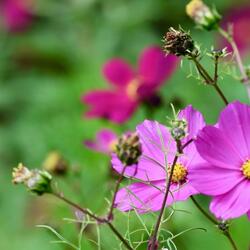 This is What Slow Dancing Feels Like