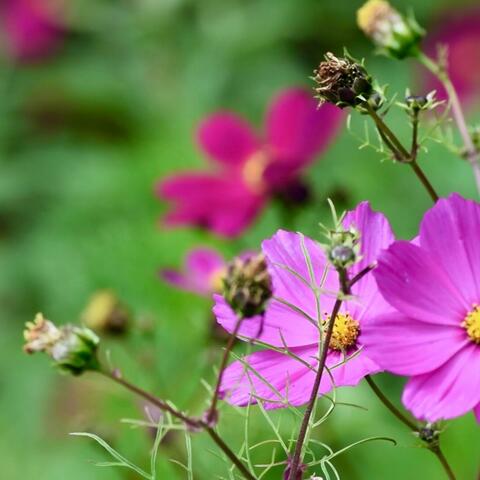 This is What Slow Dancing Feels Like