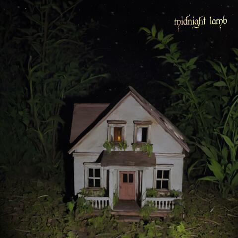 Midnight Lamb