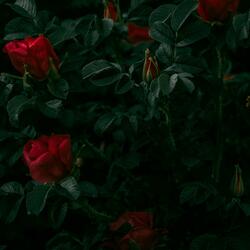 Nothing Else Matters