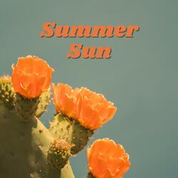 Summer Sun