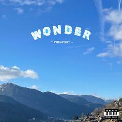 WONDER