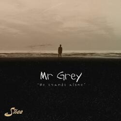 Mr. Grey