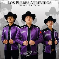 Gallos y Caballos