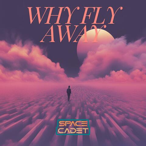 Why Fly Away