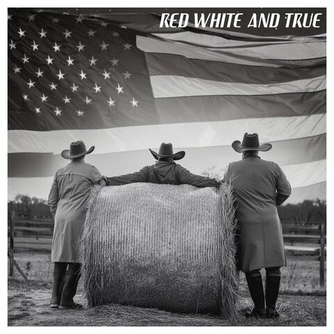 True American Soul