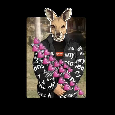 1777 Uk the Kangaroo Drip