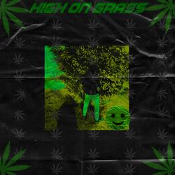 High on Grass (feat. Lilfatmamita)