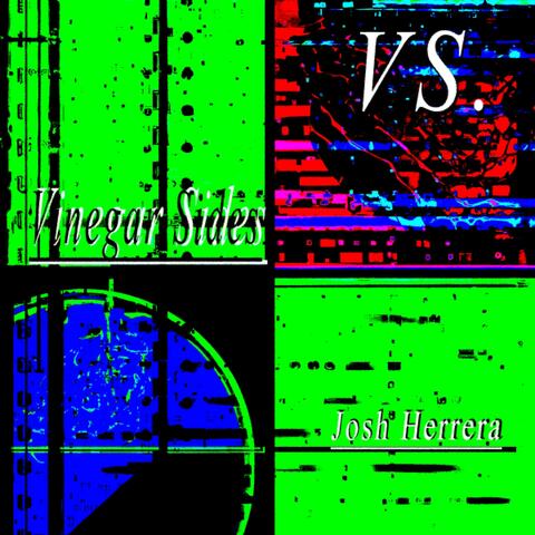 VS. Vinegar Sides