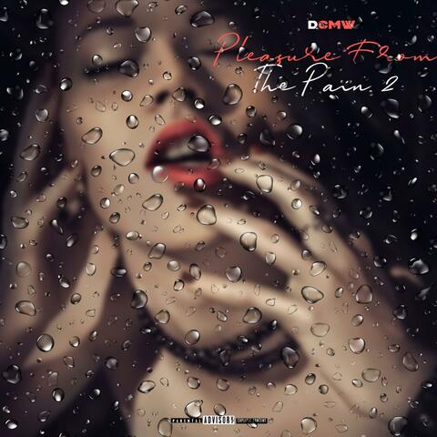 Pleasure From The Pain 2
