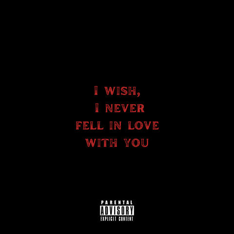 I wish, i never fell in love with you