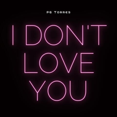 I Don't Love You