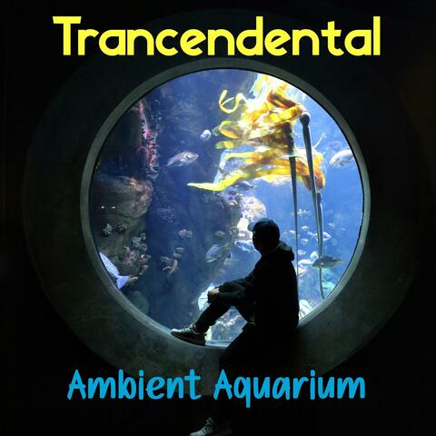 Ambient Aquarium