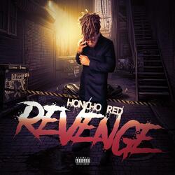 REVENGE INTRO