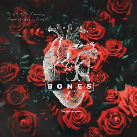 Bones